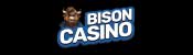 Bison Kasyno